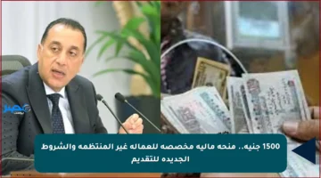 1500 جنيه.. منحة مالية مخصصة للعمالة غير المنتظمة والشروط الجديدة للتقديم